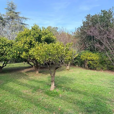 Mas Gueymadi * Laroque-des-Albères